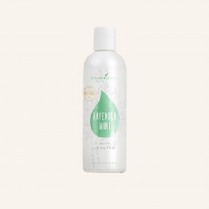 Lavender Mint Daily Shampoo